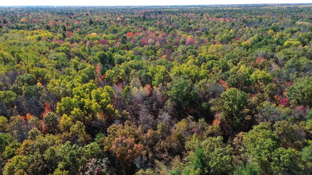 0 Timber Trail Mills Township MI 48756