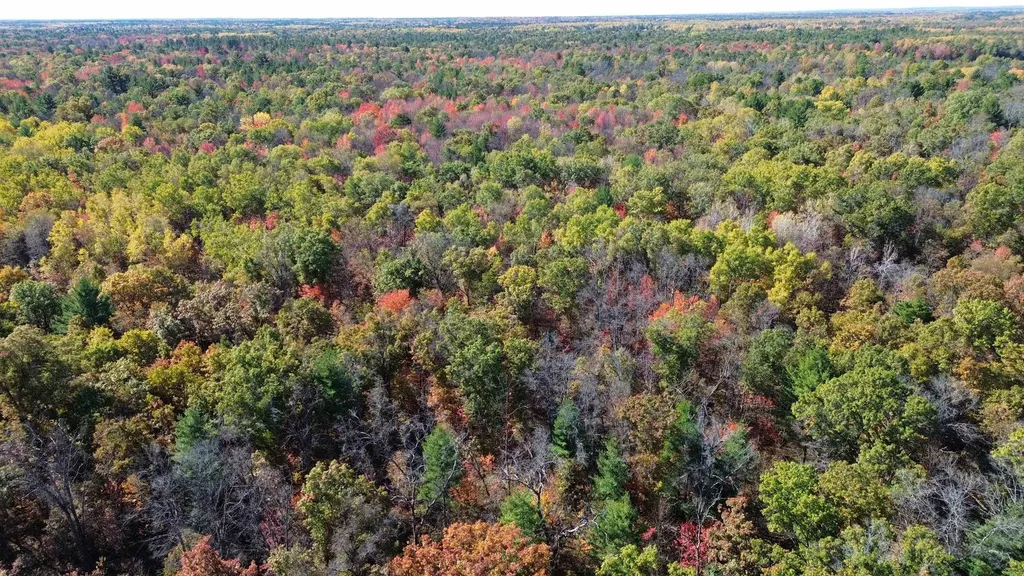 0 Timber Trail Mills Township MI 48756