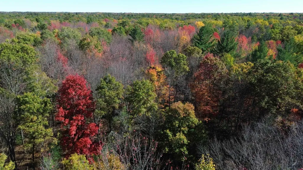 0 Timber Trail Mills Township MI 48756