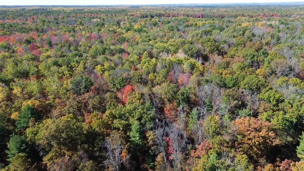 0 Timber Trail Mills Township MI 48756