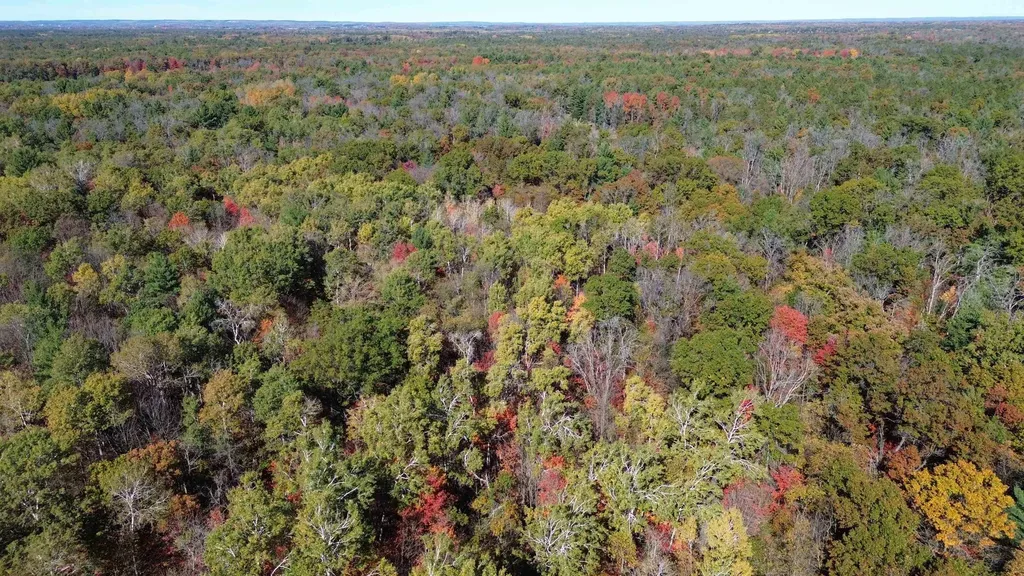 0 Timber Trail Mills Township MI 48756