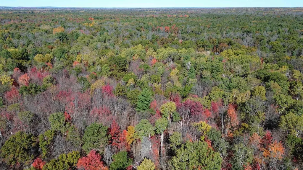 0 Timber Trail Mills Township MI 48756