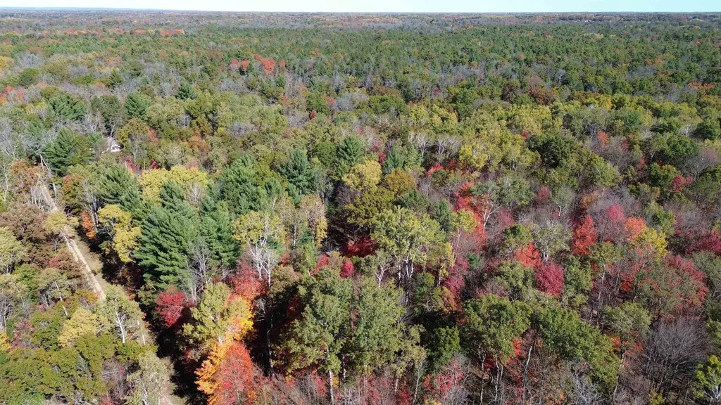 0 Timber Trail Mills Township MI 48756