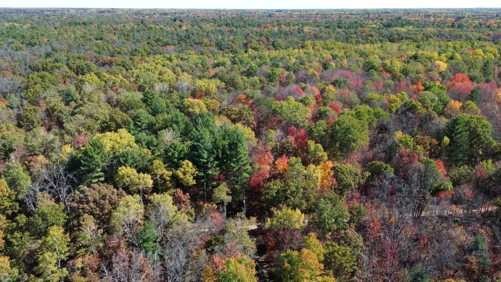 0 Timber Trail Mills Township MI 48756