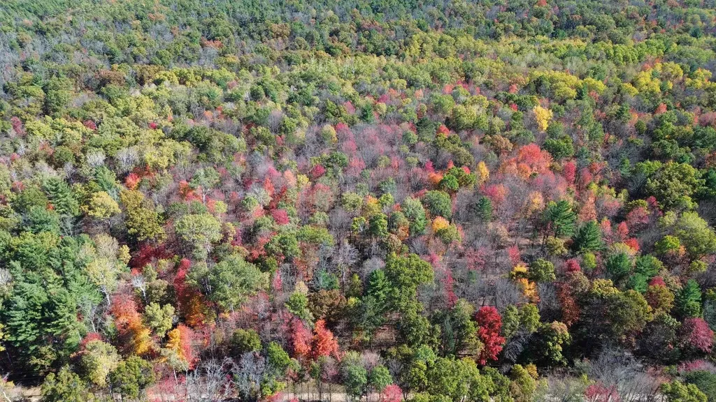 0 Timber Trail Mills Township MI 48756