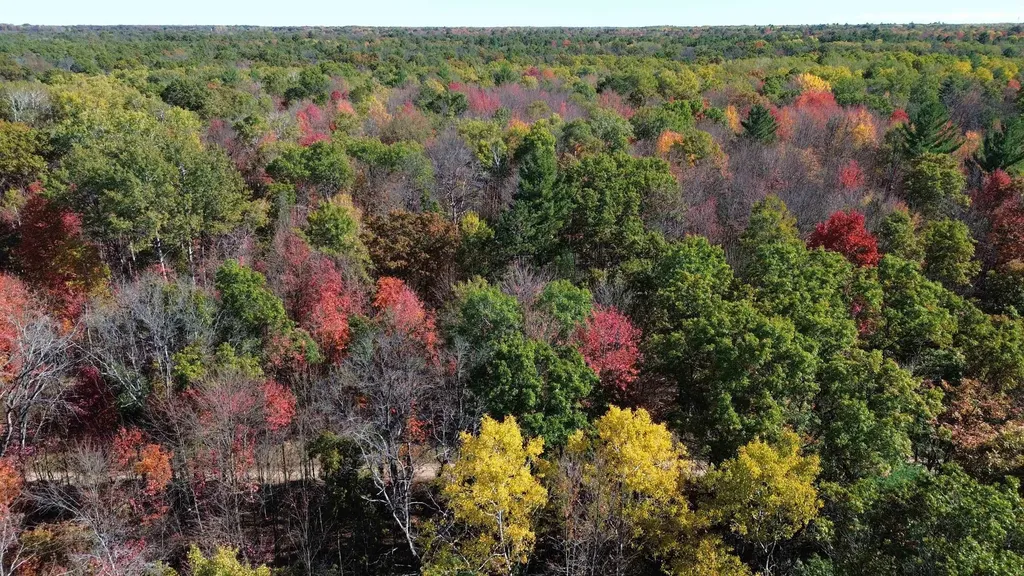 0 Timber Trail Mills Township MI 48756