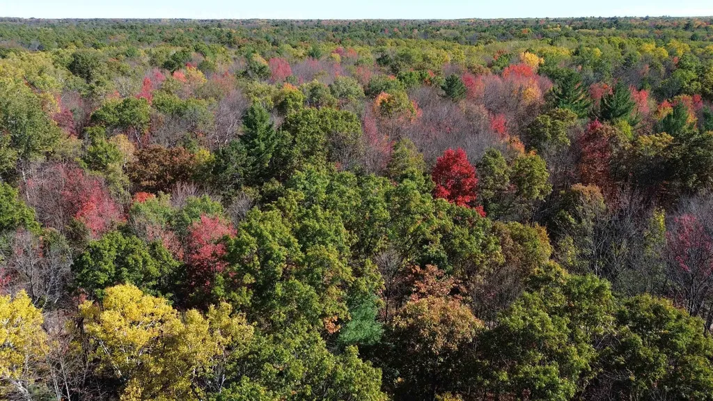 0 Timber Trail Mills Township MI 48756
