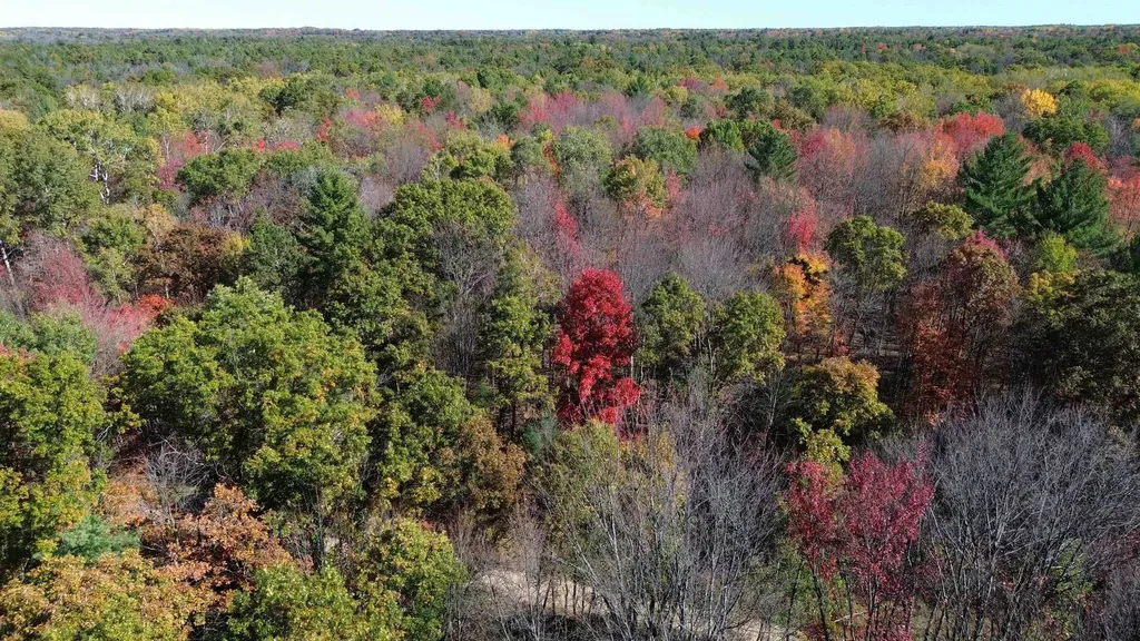 0 Timber Trail Mills Township MI 48756