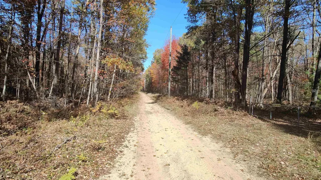 0 Timber Trail Mills Township MI 48756