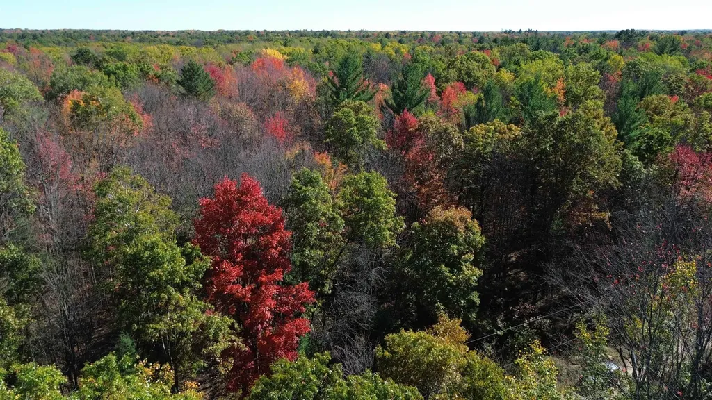 0 Timber Trail Mills Township MI 48756