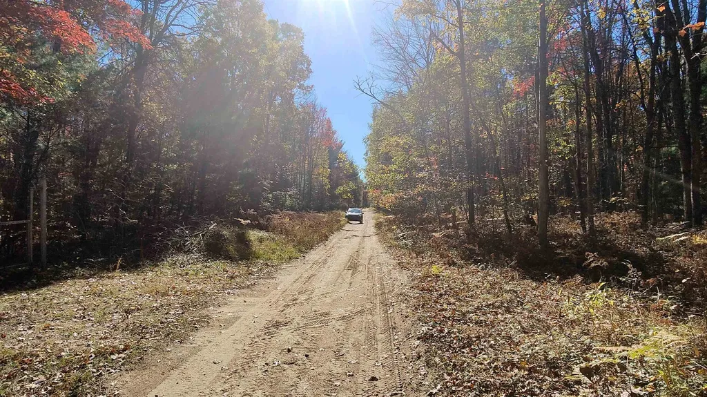 0 Timber Trail Mills Township MI 48756