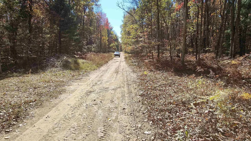 0 Timber Trail Mills Township MI 48756