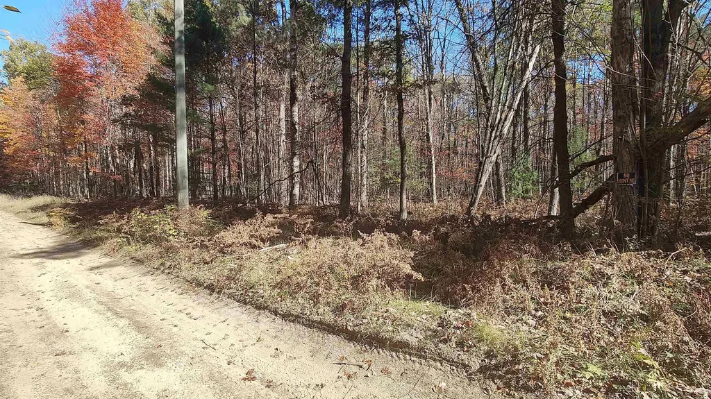 0 Timber Trail Mills Township MI 48756
