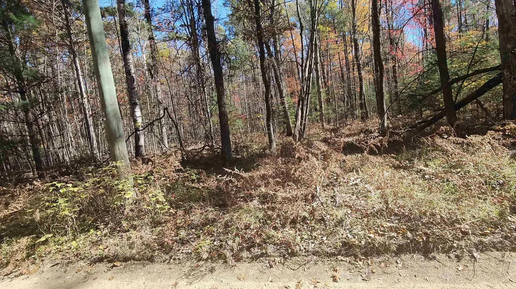 0 Timber Trail Mills Township MI 48756