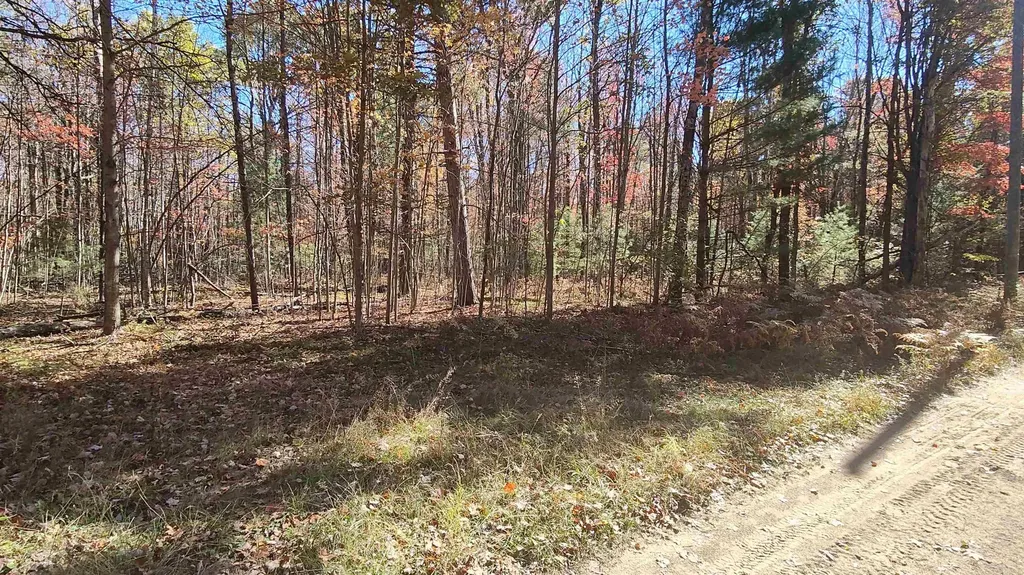0 Timber Trail Mills Township MI 48756