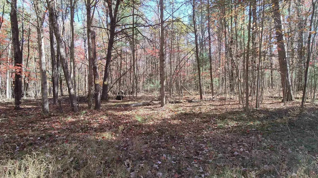 0 Timber Trail Mills Township MI 48756
