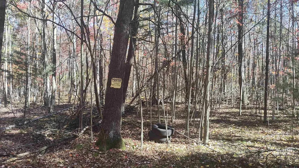0 Timber Trail Mills Township MI 48756