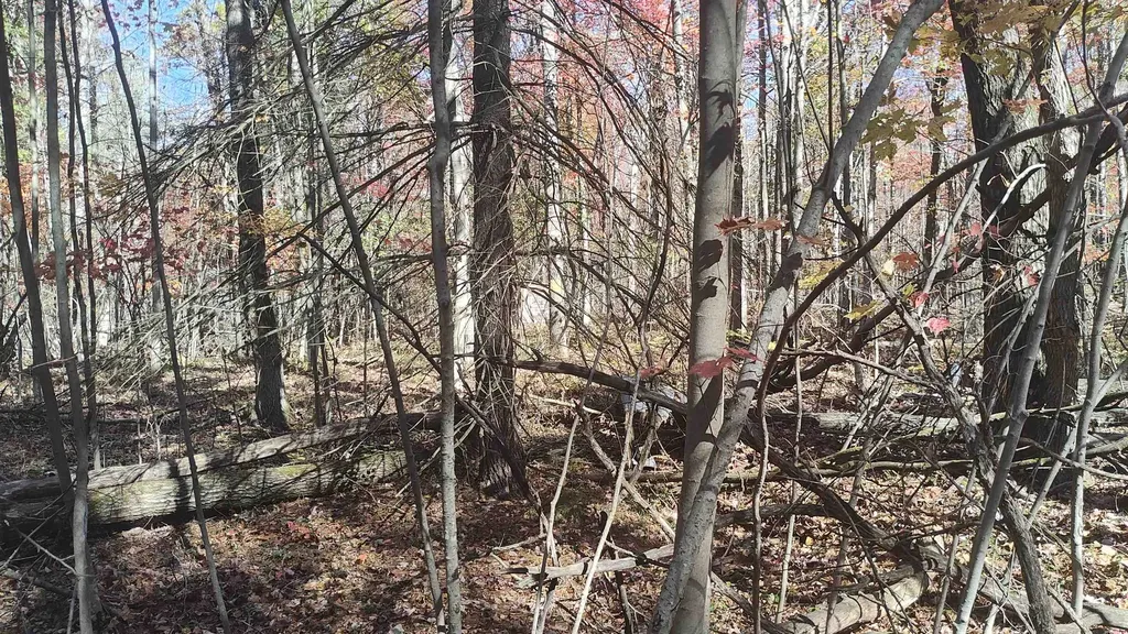 0 Timber Trail Mills Township MI 48756