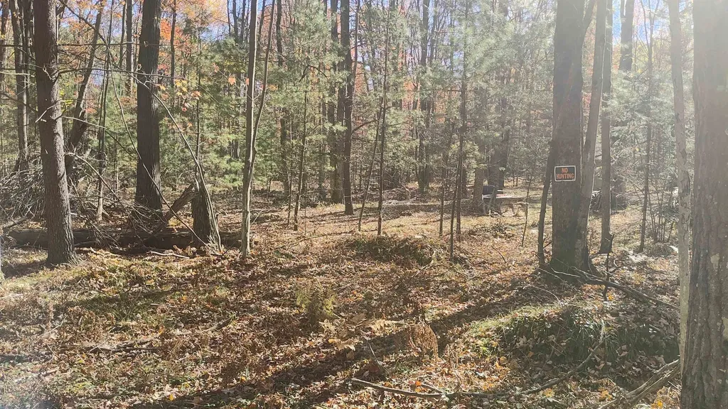 0 Timber Trail Mills Township MI 48756
