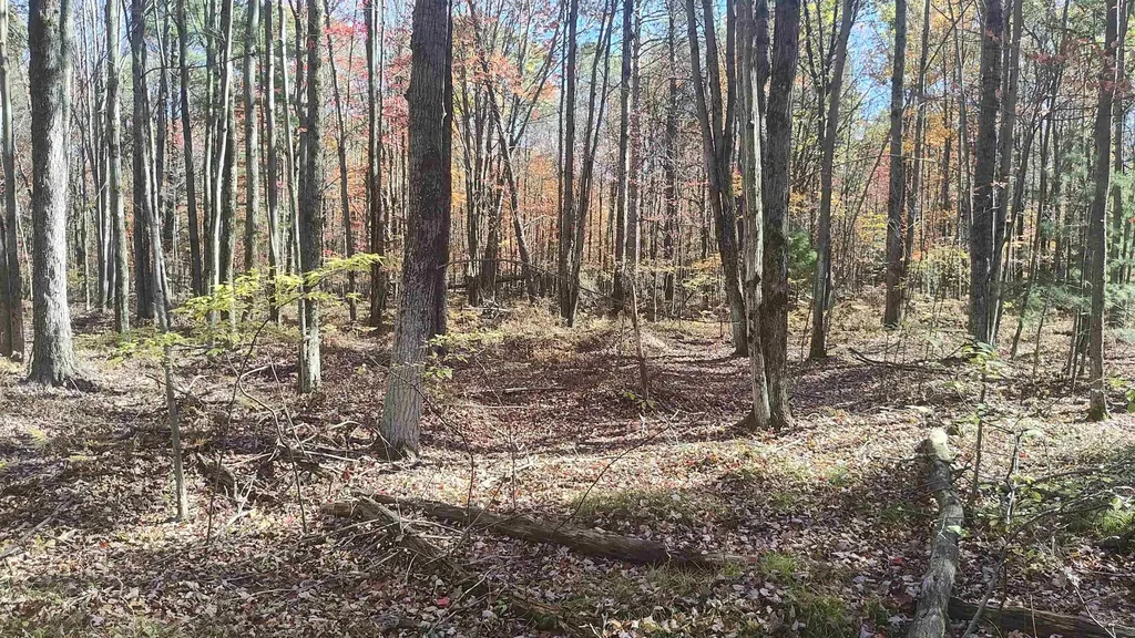 0 Timber Trail Mills Township MI 48756