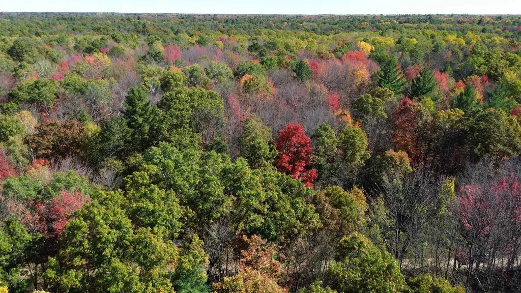 0 Timber Trail Mills Township MI 48756