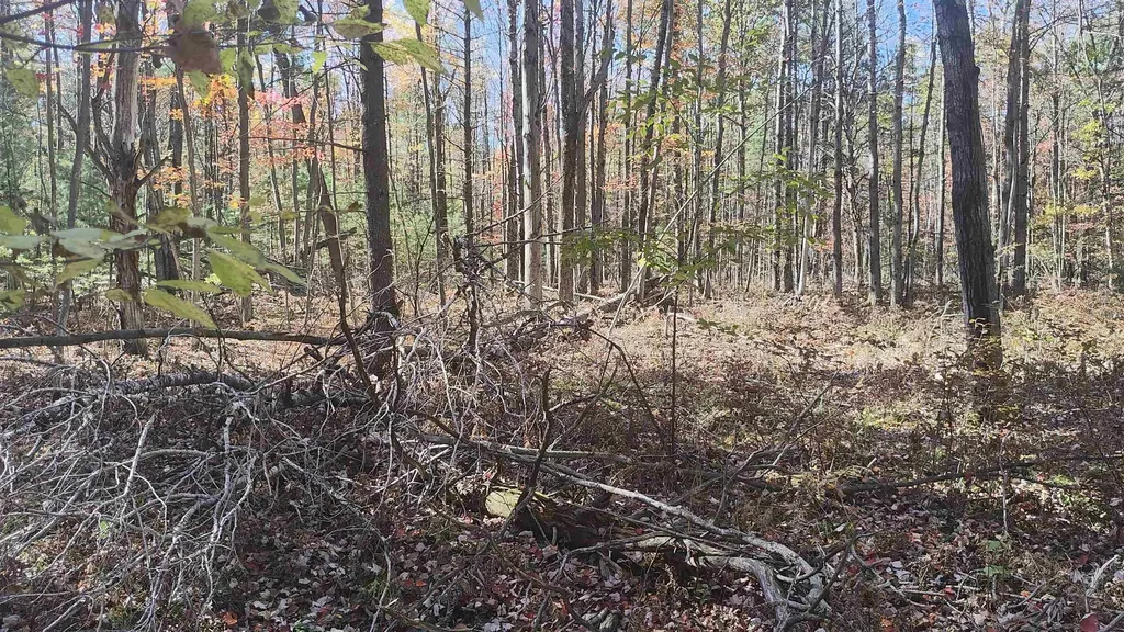 0 Timber Trail Mills Township MI 48756