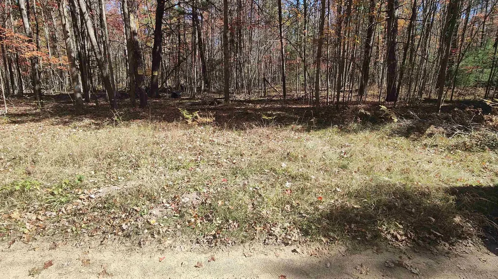 0 Timber Trail Mills Township MI 48756