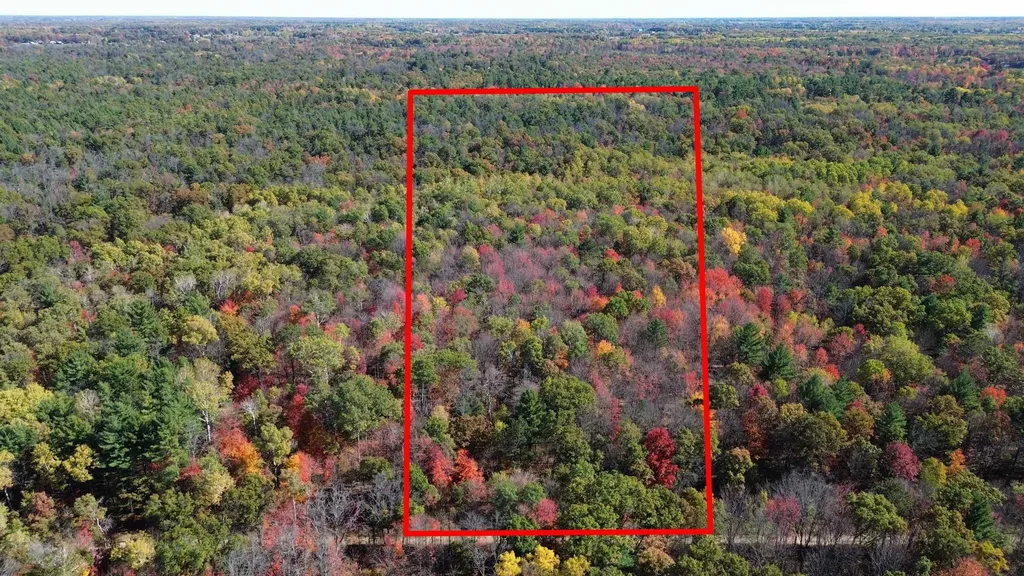 0 Timber Trail Mills Township MI 48756