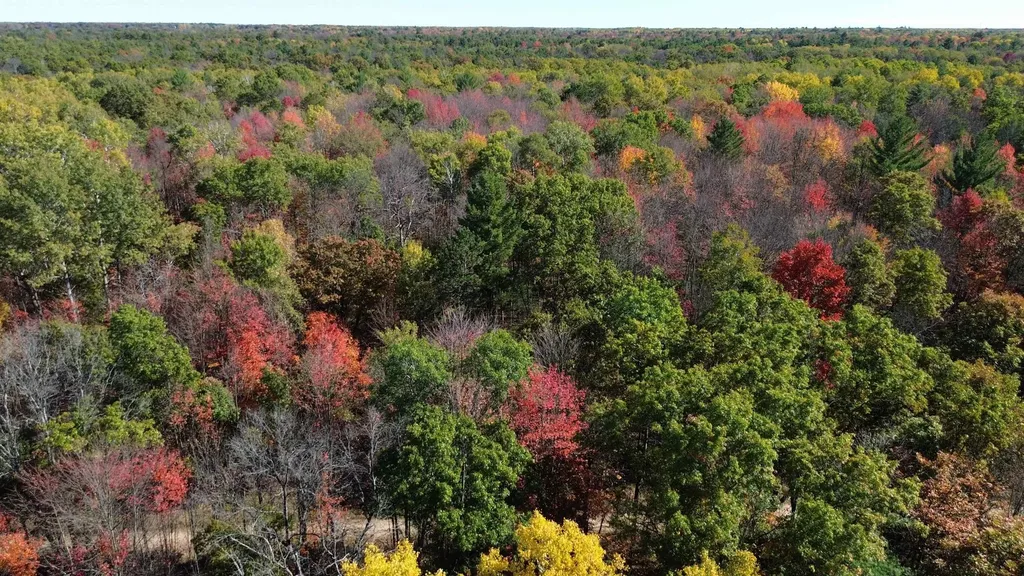 0 Timber Trail Mills Township MI 48756