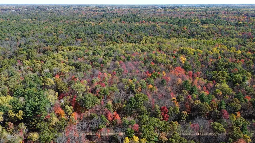 0 Timber Trail Mills Township MI 48756