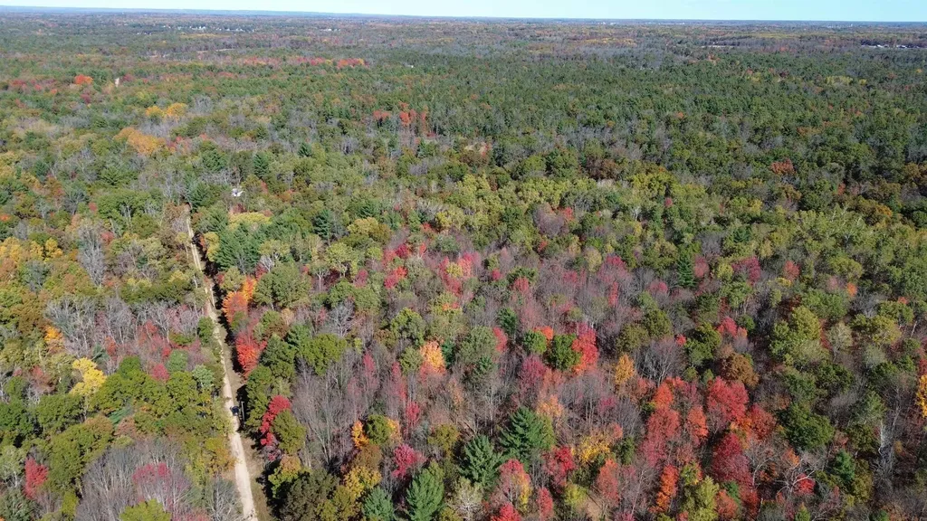 0 Timber Trail Mills Township MI 48756