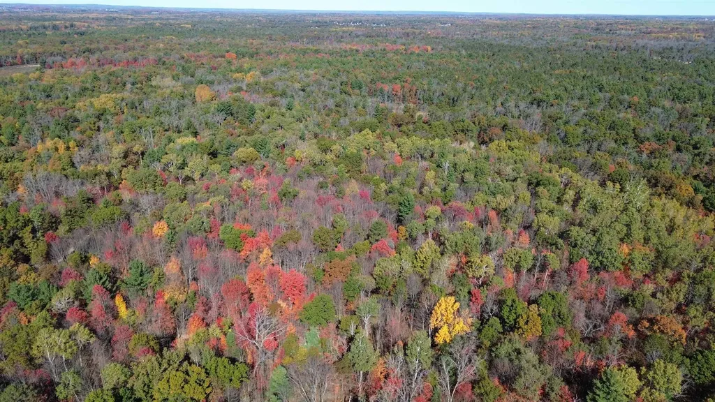 0 Timber Trail Mills Township MI 48756