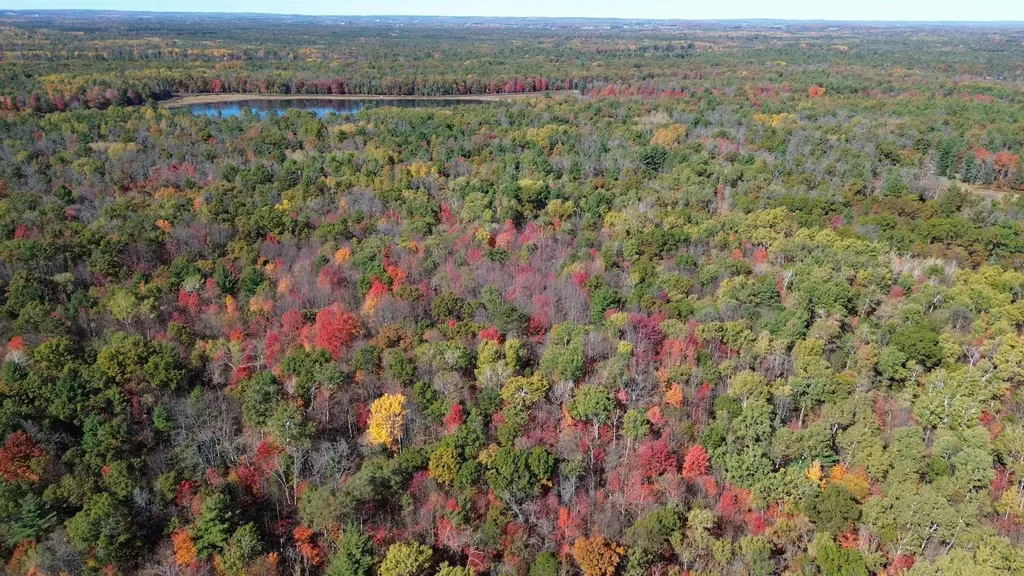 0 Timber Trail Mills Township MI 48756