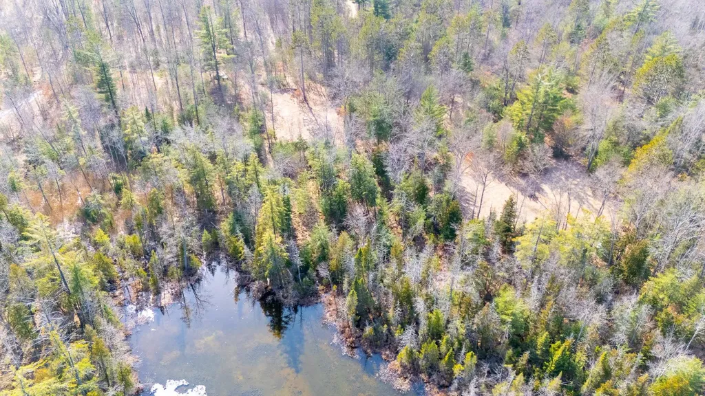 2.21 Ac Snowbowl Road Roscommon Township MI 48629