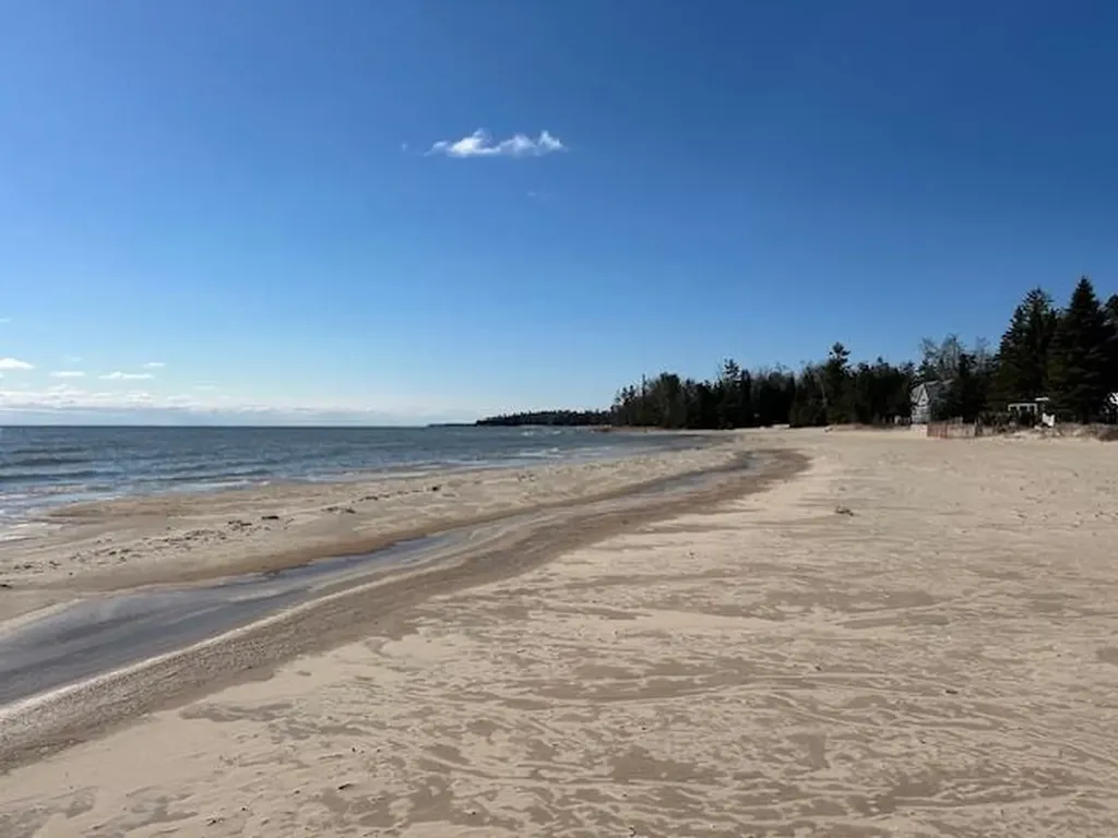 4546 N Lakeshore Drive Alcona Township MI 48721