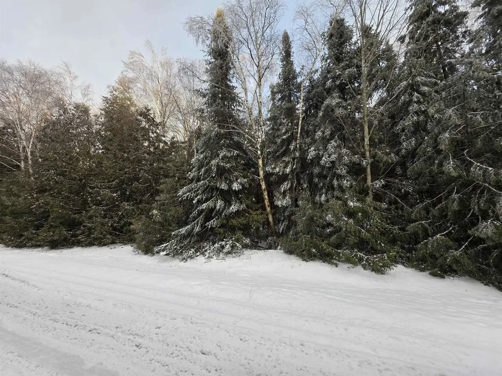 0 Cedarbrook Drive Oscoda Charter Township MI 48750