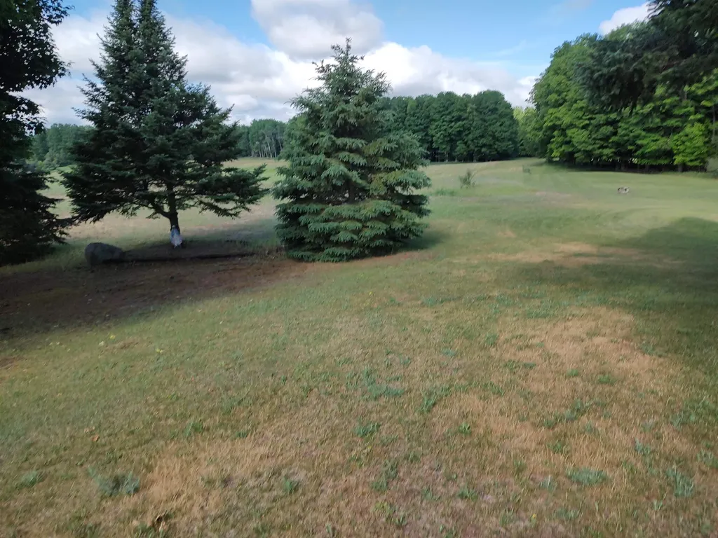 3100 Pointer Road Edwards Township MI 48661