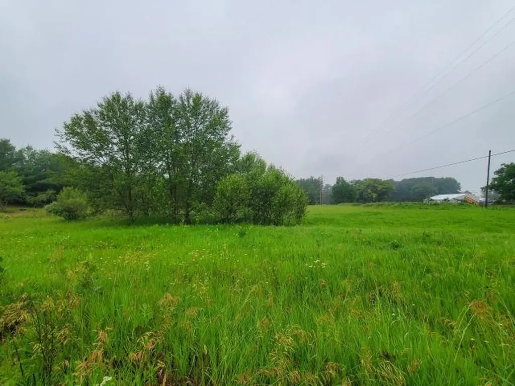 Silver Creek Road Mills Township MI 48756