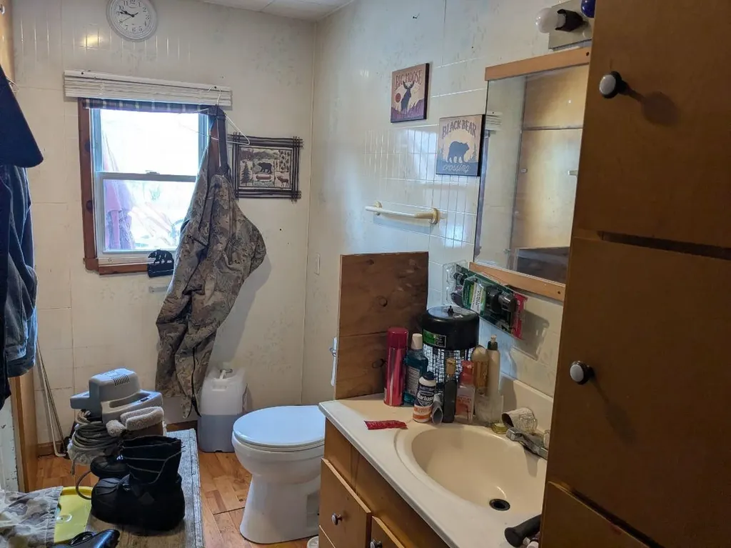 6283 Plant Road Burleigh Township MI 48770