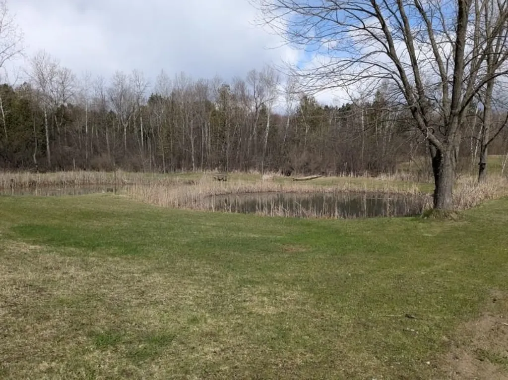 6283 Plant Road Burleigh Township MI 48770