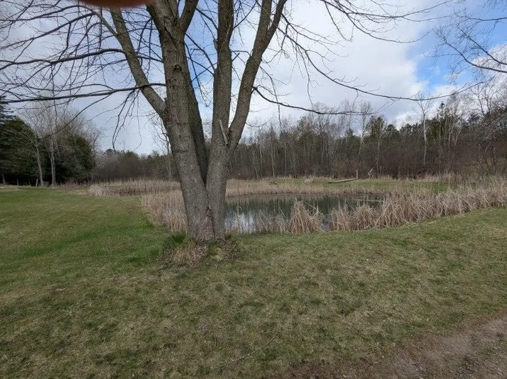 6283 Plant Road Burleigh Township MI 48770