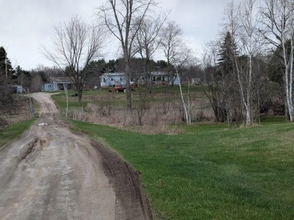 6283 Plant Road Burleigh Township MI 48770