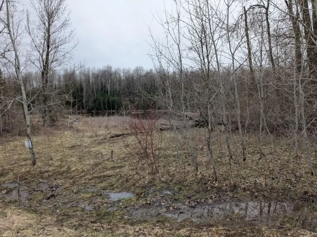 00 Lakeview Drive Hill Township MI 48739