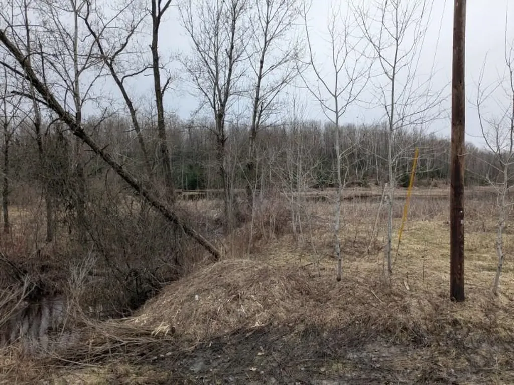 00 Lakeview Drive Hill Township MI 48739