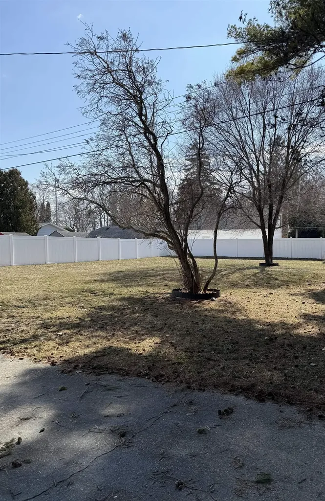 713 W Lincoln Baldwin Township MI 48730