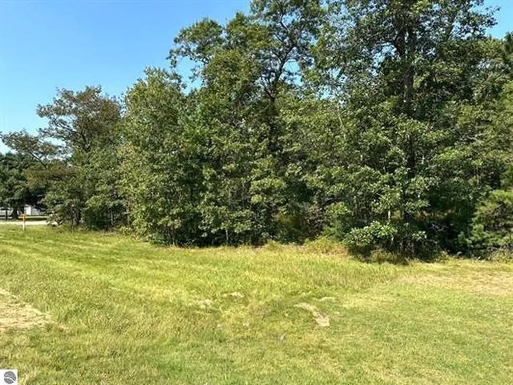 00 Wintergreen Street Baldwin Township MI 48730