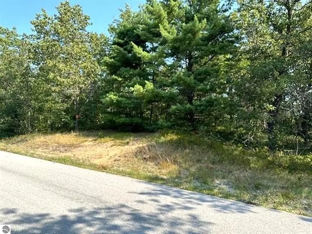 00 Wintergreen Street Baldwin Township MI 48730