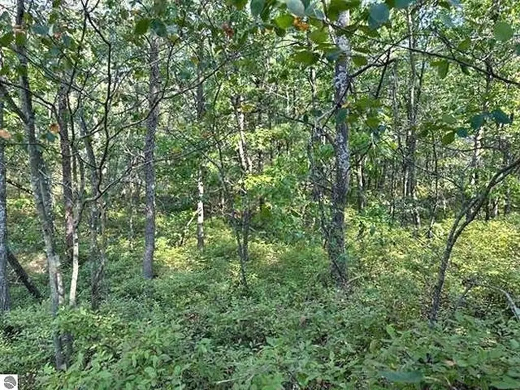 00 Wintergreen Street Baldwin Township MI 48730