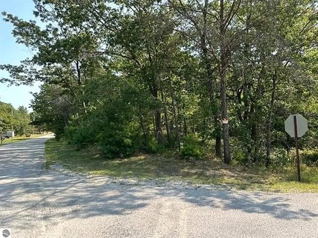 00 Wintergreen Street Baldwin Township MI 48730