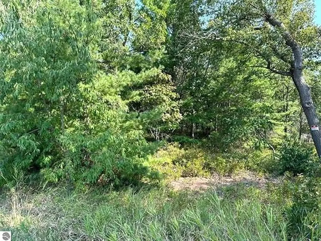 00 Wintergreen Street Baldwin Township MI 48730